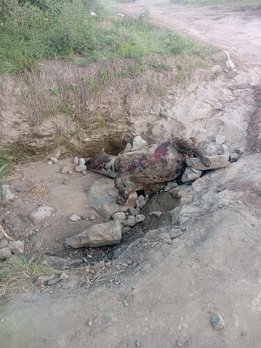 IMG_20260405_181854_920