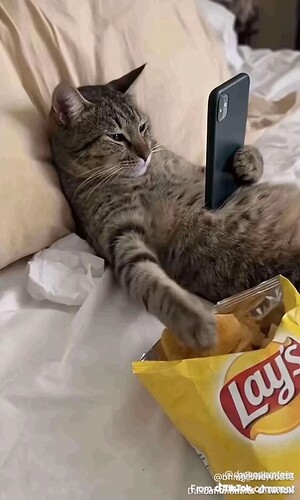 1774445571598