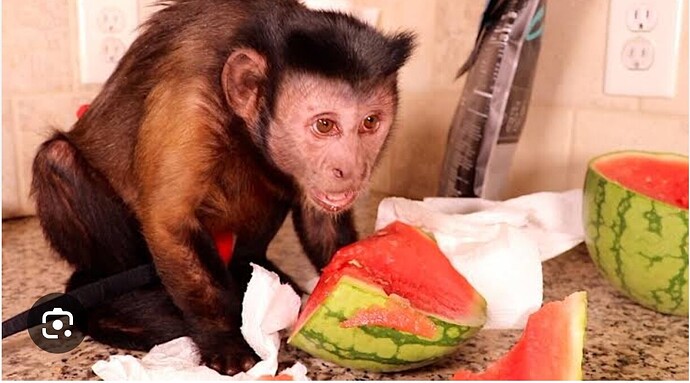 Screenshot_2026-01-02-12-28-03-560_com.google.android.googlequicksearchbox-edit