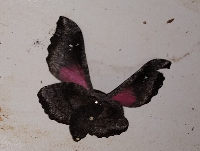 Screenshot_20260407_145935_Gallery