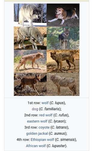 Screenshot_20251208-112641