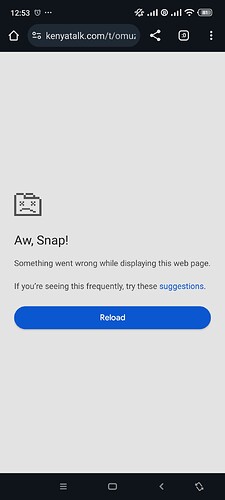 Screenshot_2024-08-02-12-53-41-378_com.android.chrome