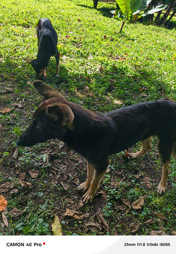 IMG_20260411_100958_748