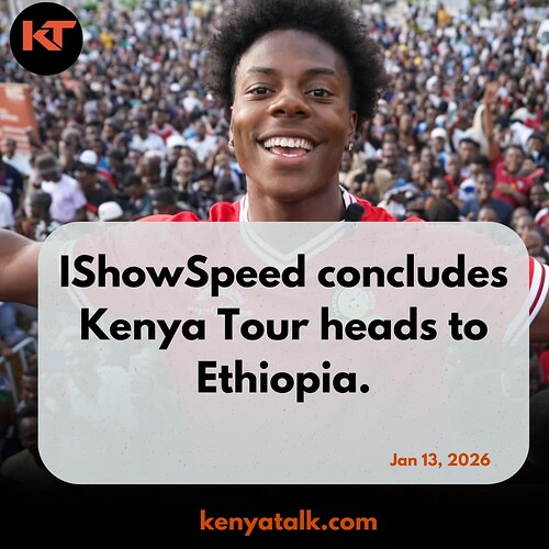 Copy of Blind Yield _20260113_135218_0000