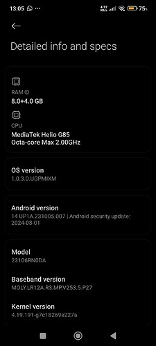 Screenshot_2024-12-20-13-05-31-946_com.android.settings
