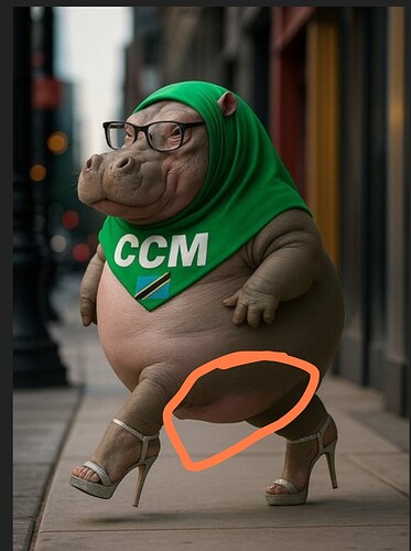 Screenshot_2025-05-26-20-18-03-987_com.duckduckgo.mobile.android-edit