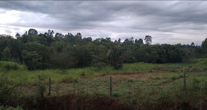 Screenshot_20250806_190757_Gallery