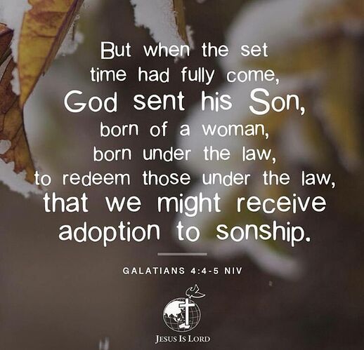 7a1babc446adf487a0731191c697fe92