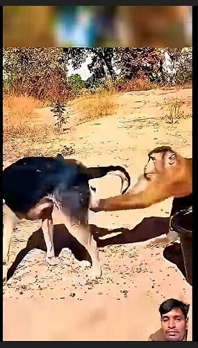 Screenshot_2025-07-29-21-11-31-649_com.duckduckgo.mobile.android-edit