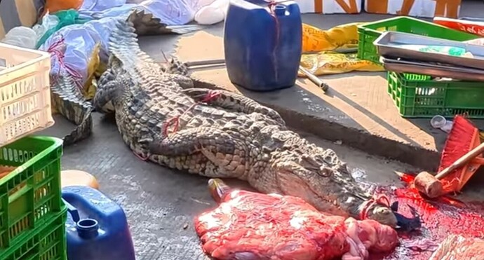 Screenshot_2026-02-18-13-31-32-119_com.google.android.youtube-edit