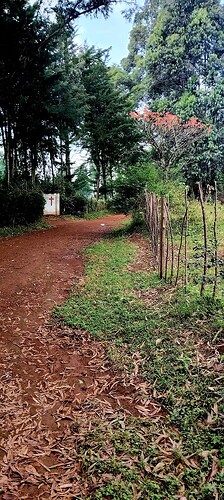 17674529428194494713259514712629