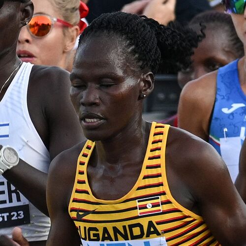 FGQCZQWUyT4NqQqLUajK6U