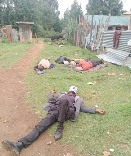 608413597_122169132632611685_8347320704716919677_n