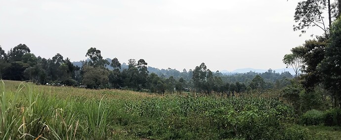 IMG_20250807_110302