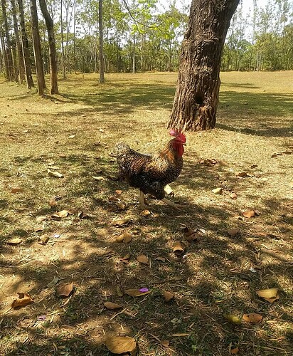 FB_IMG_1740596562857